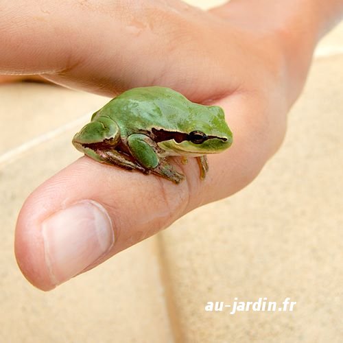 Featured blog image