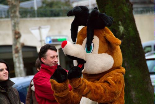 Un renne en plein coeur d'Aix les Bains