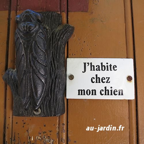 Révélation