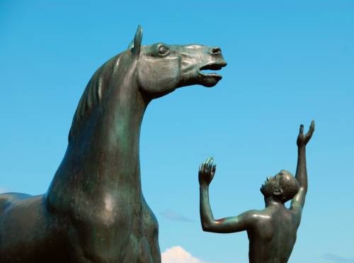 Cheval suisse
