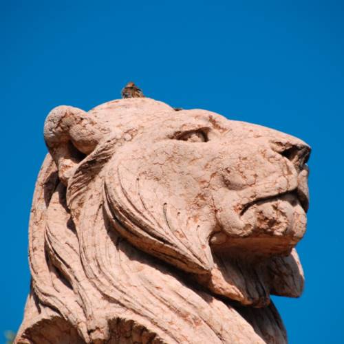 Lion du monument Brunswick à Genève