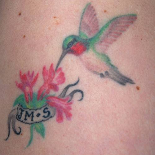 Oiseau de bras