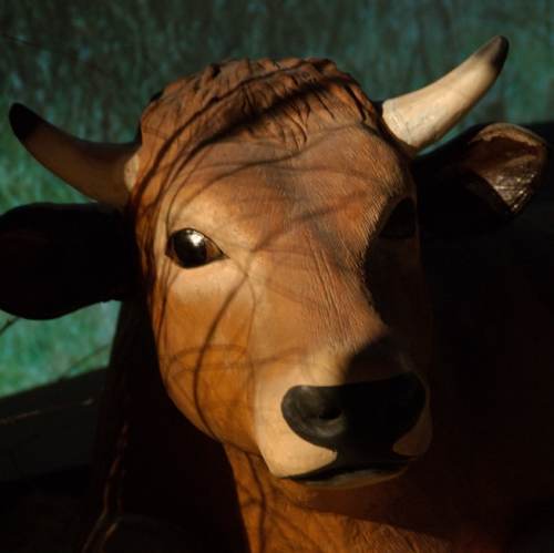 Vache de crêche
