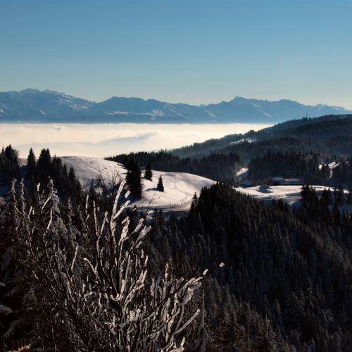 Les bauges, vue du Revard.
