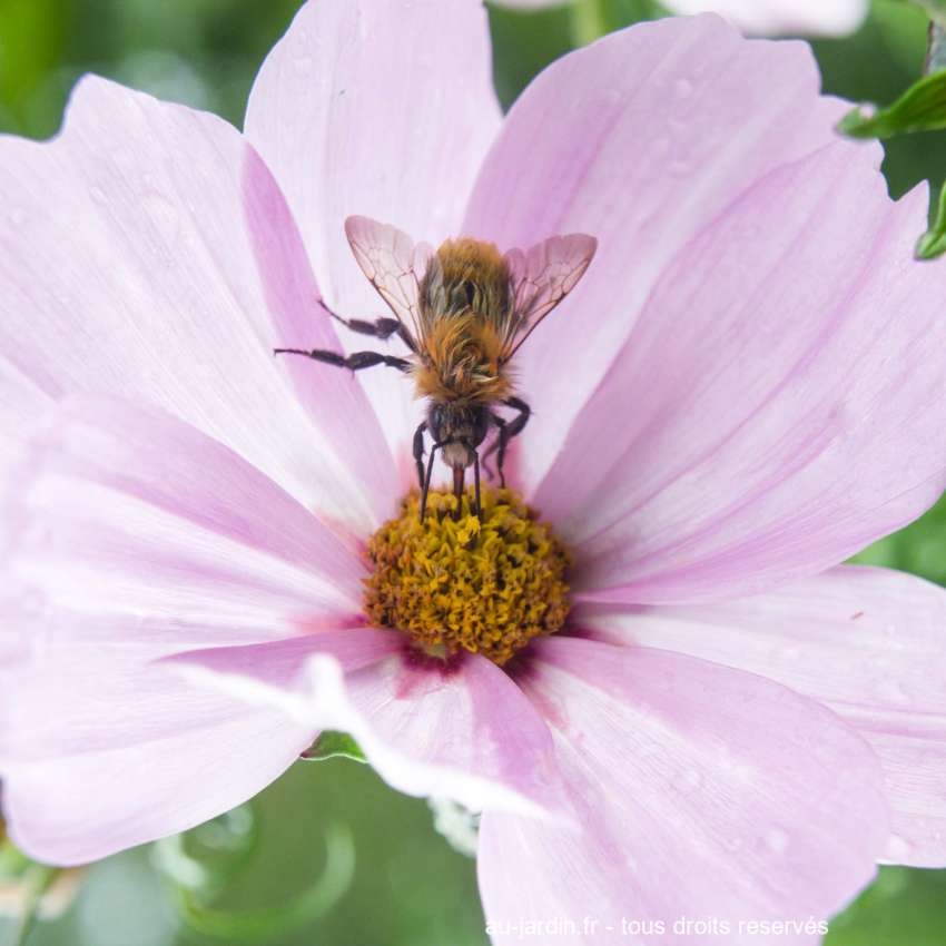 Featured blog image
