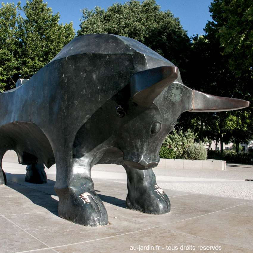 A proximité des arenes