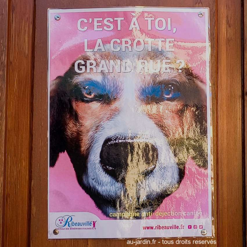 Affiche de chien pour la prévention des merdes.