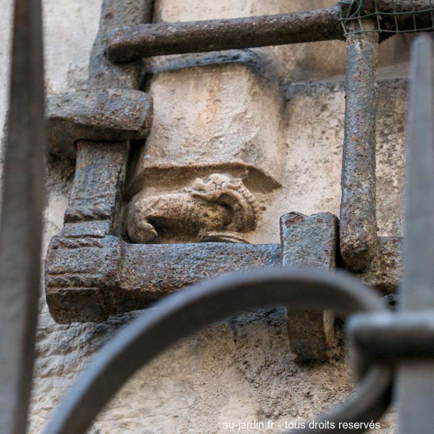 salamandre de notre Dame de Dijon