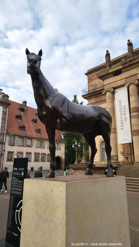 Sculpture en bronze de cheval - Zieme d'Austin Camilleri à Strasbourg