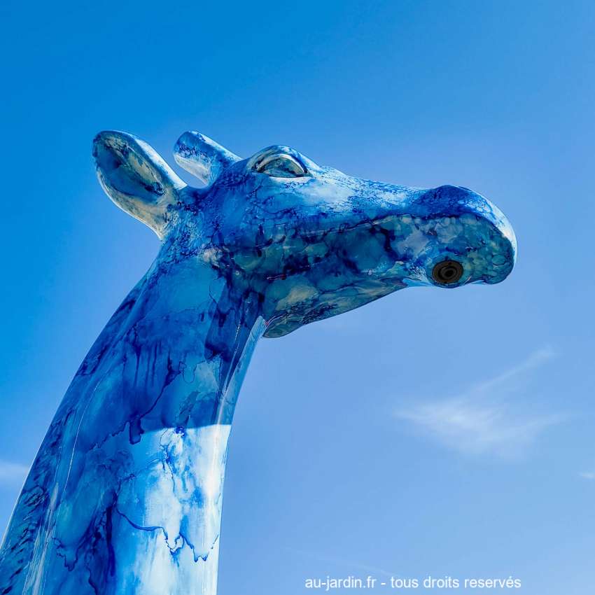 douche girafe sur fond de ciel bleu