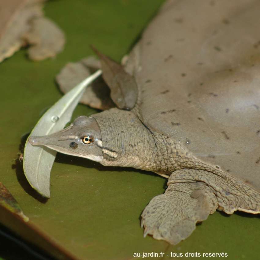 Featured blog image