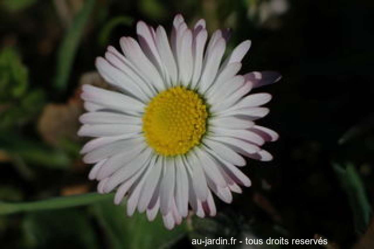 Featured blog image