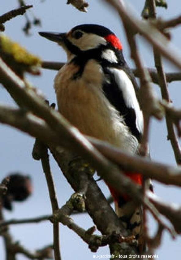 Featured blog image