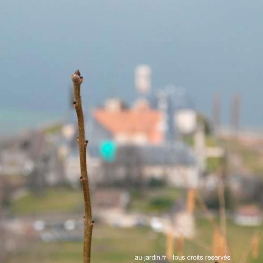 Featured blog image
