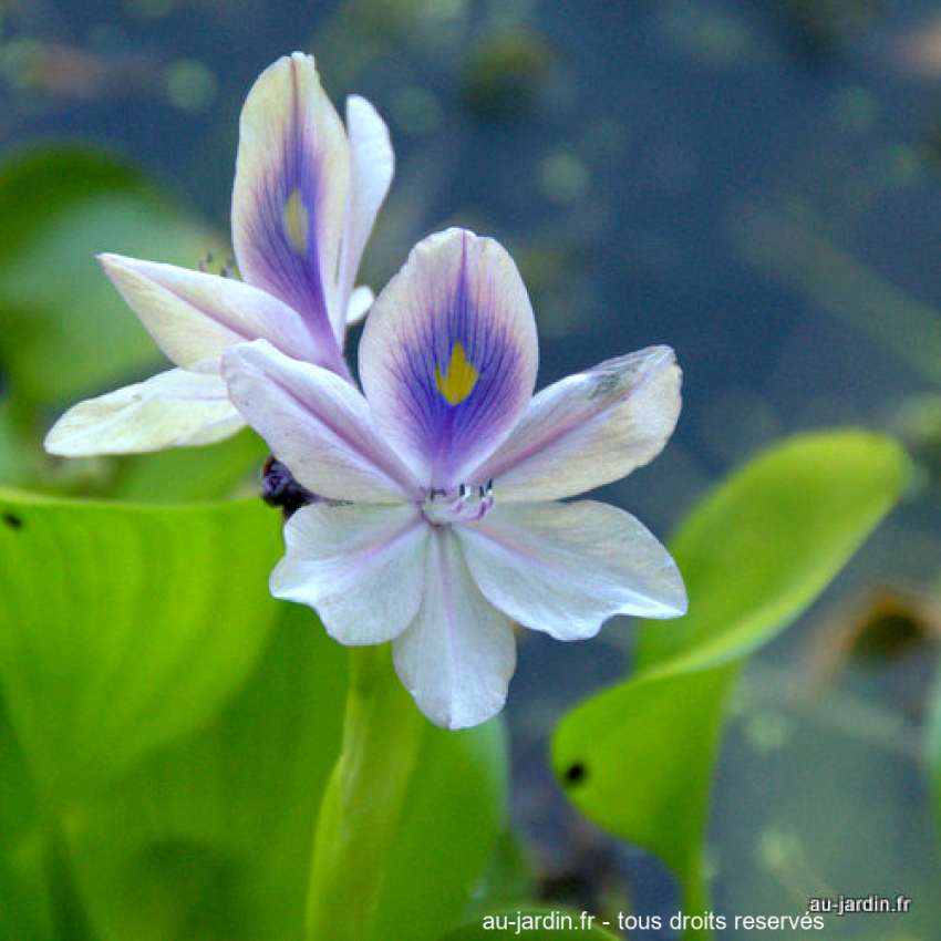 Featured blog image
