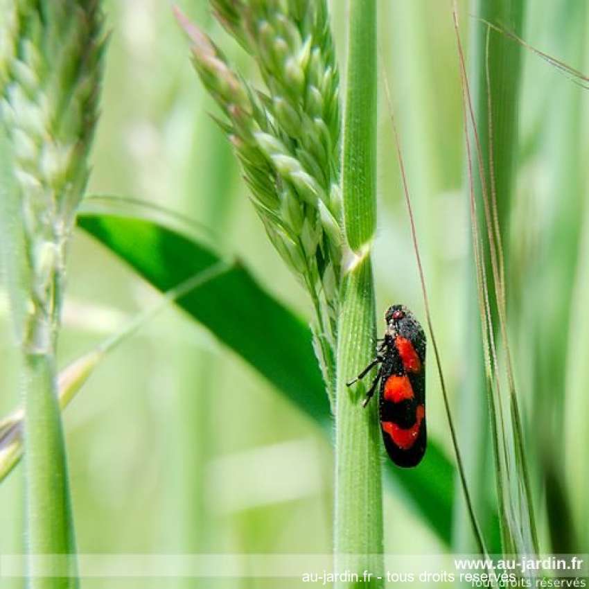 Featured blog image