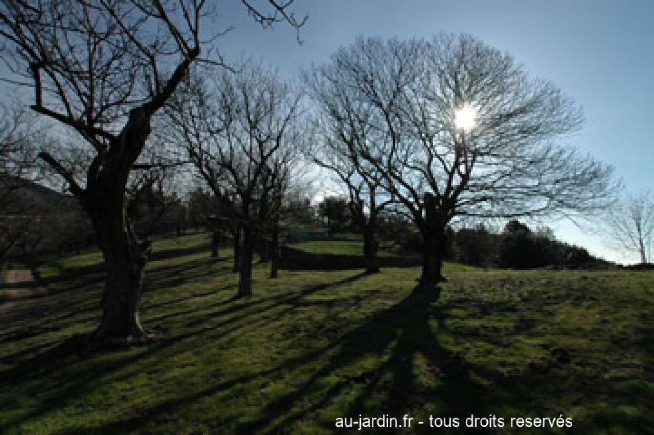 Featured blog image