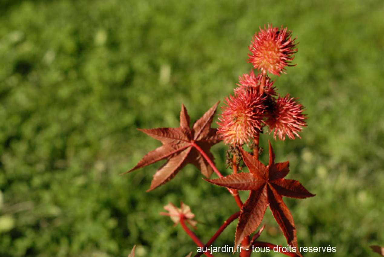 Featured blog image