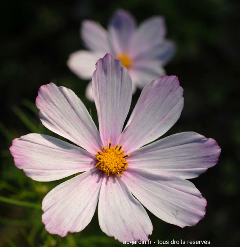 Featured blog image