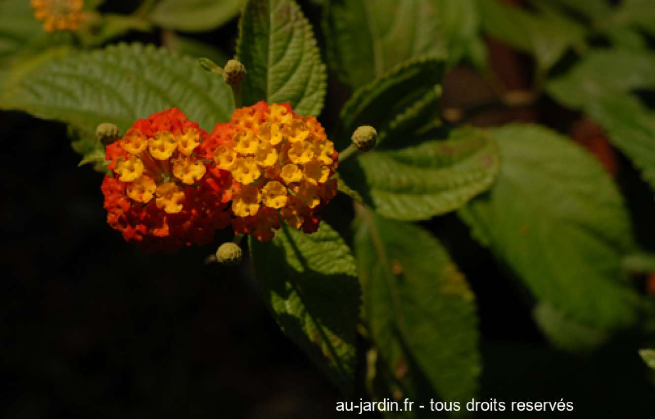 Featured blog image
