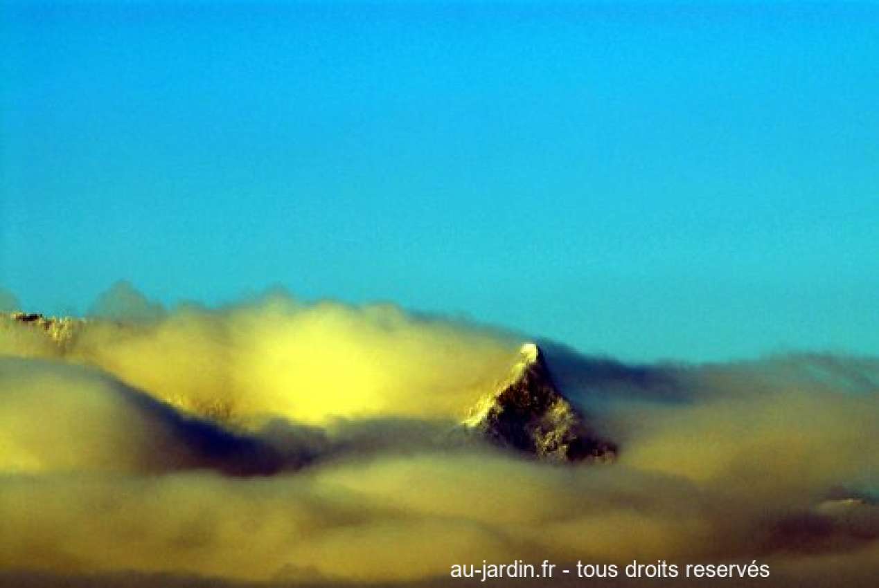 Featured blog image