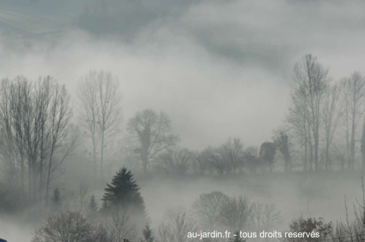 Featured blog image