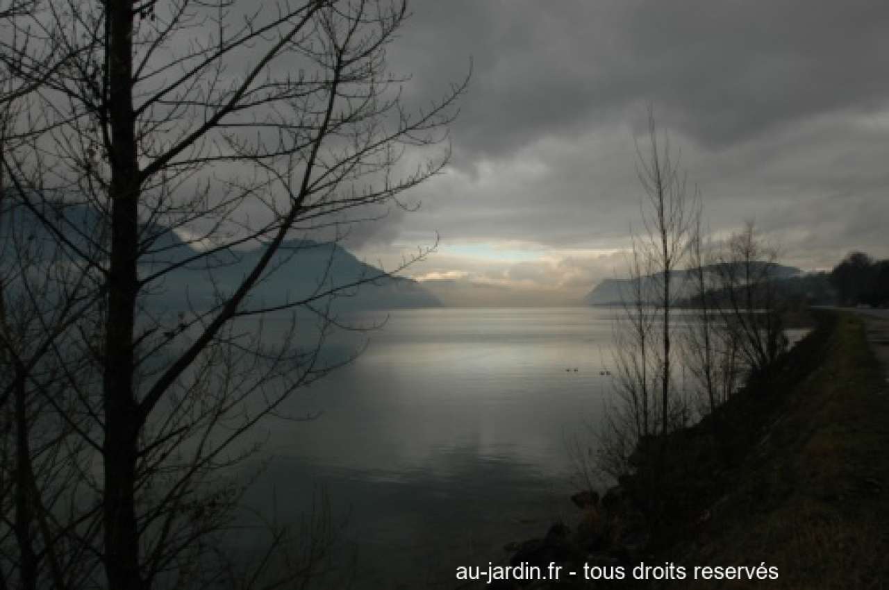 Featured blog image