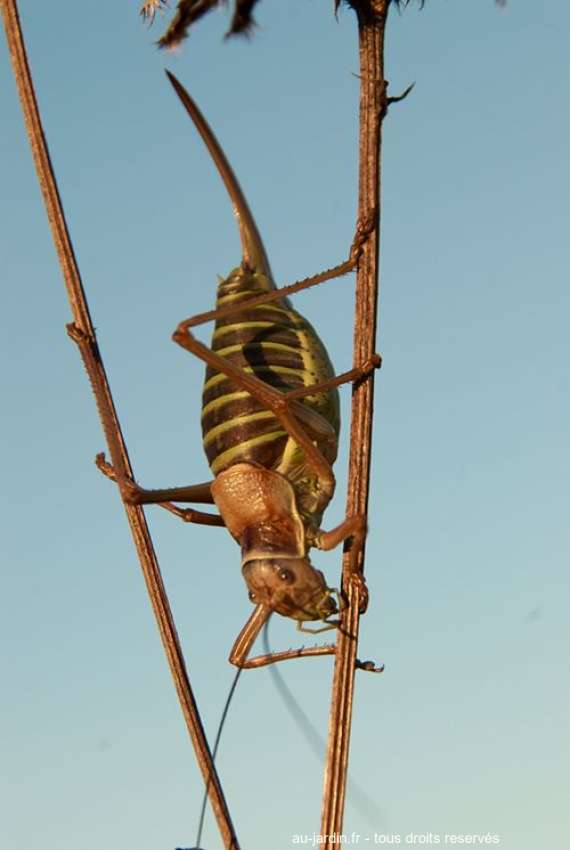 Featured blog image