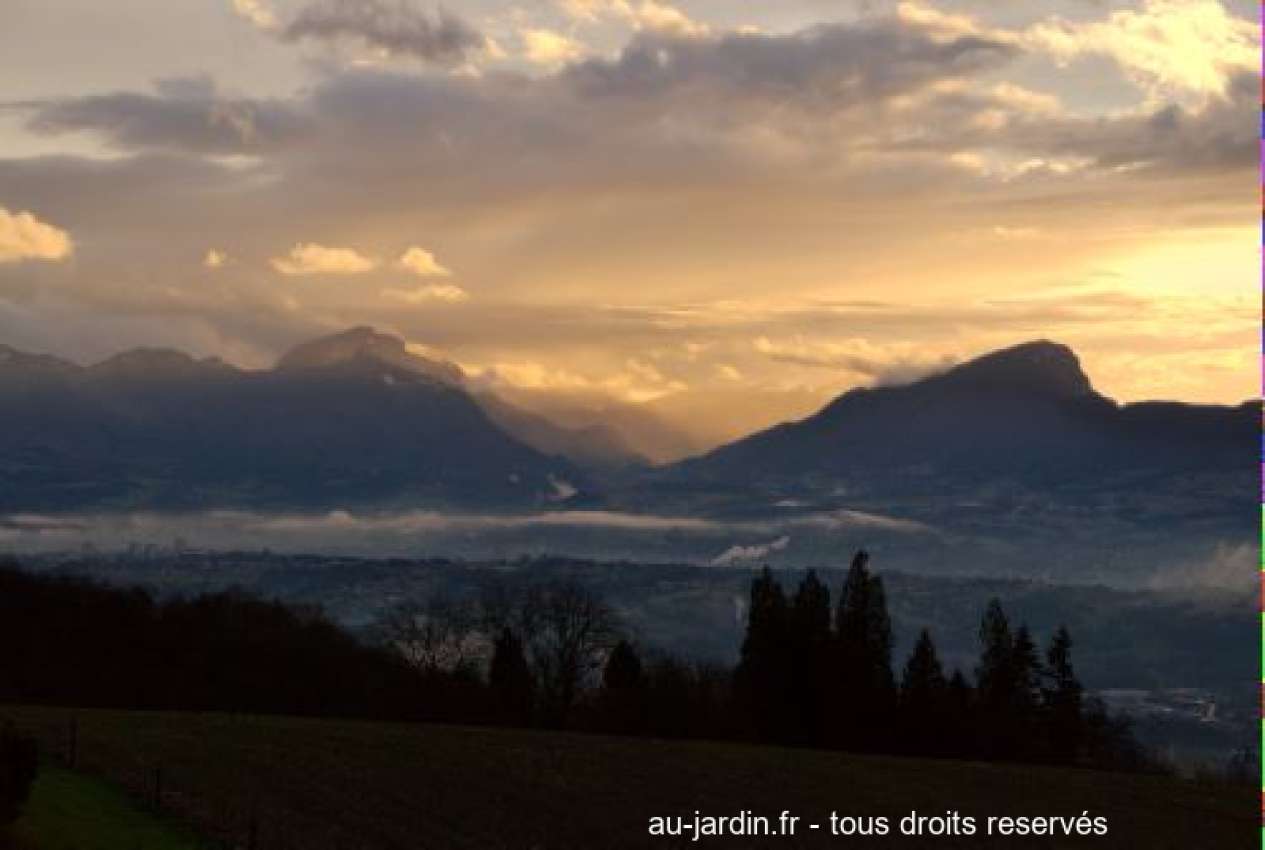 Featured blog image