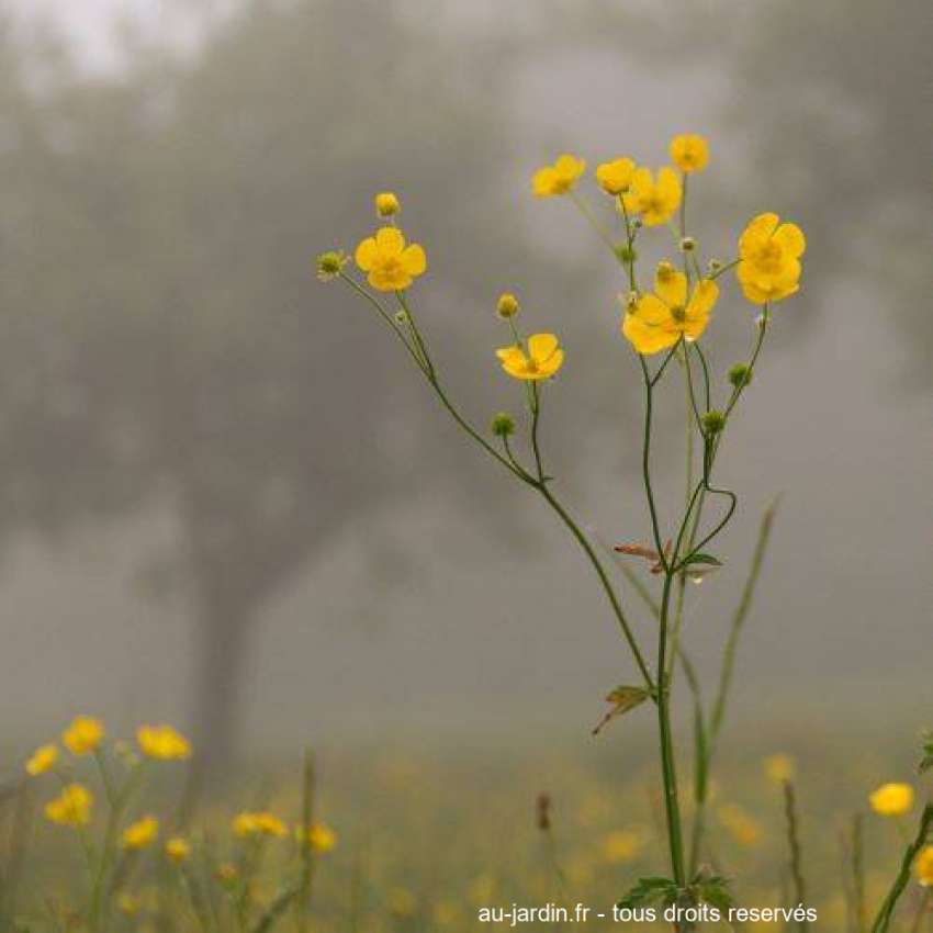 Featured blog image