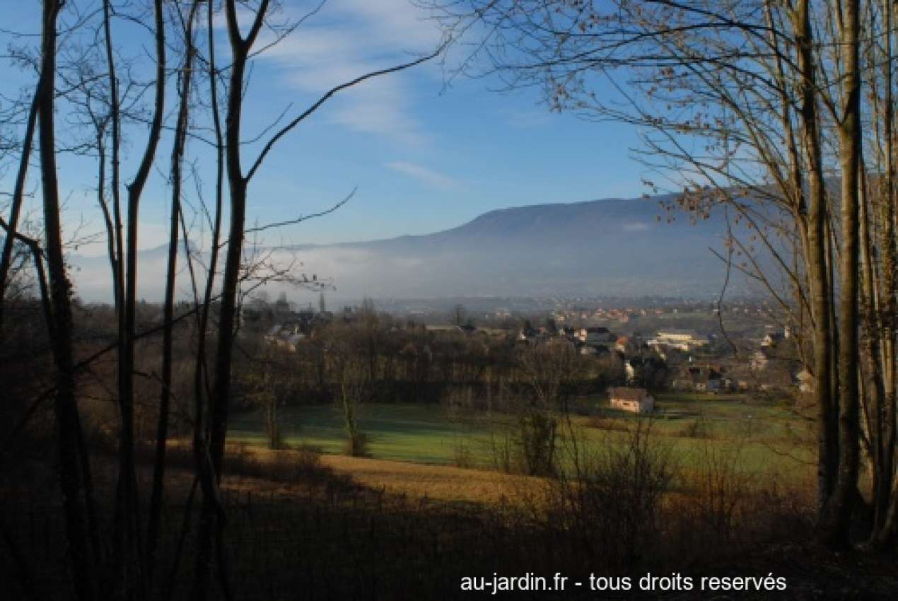 Featured blog image