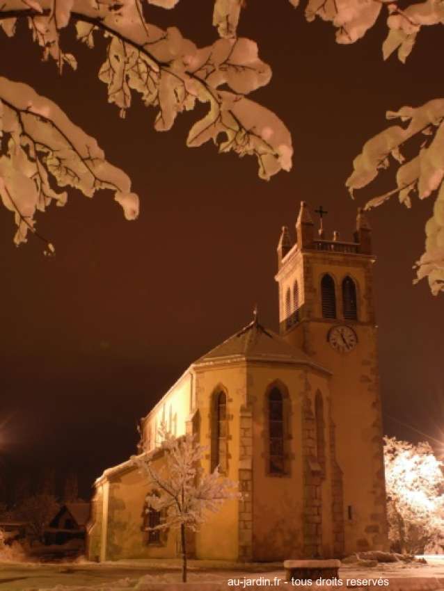 Featured blog image