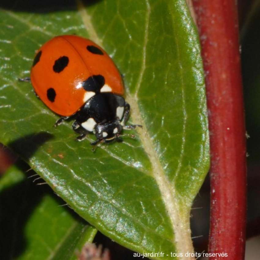 Featured blog image