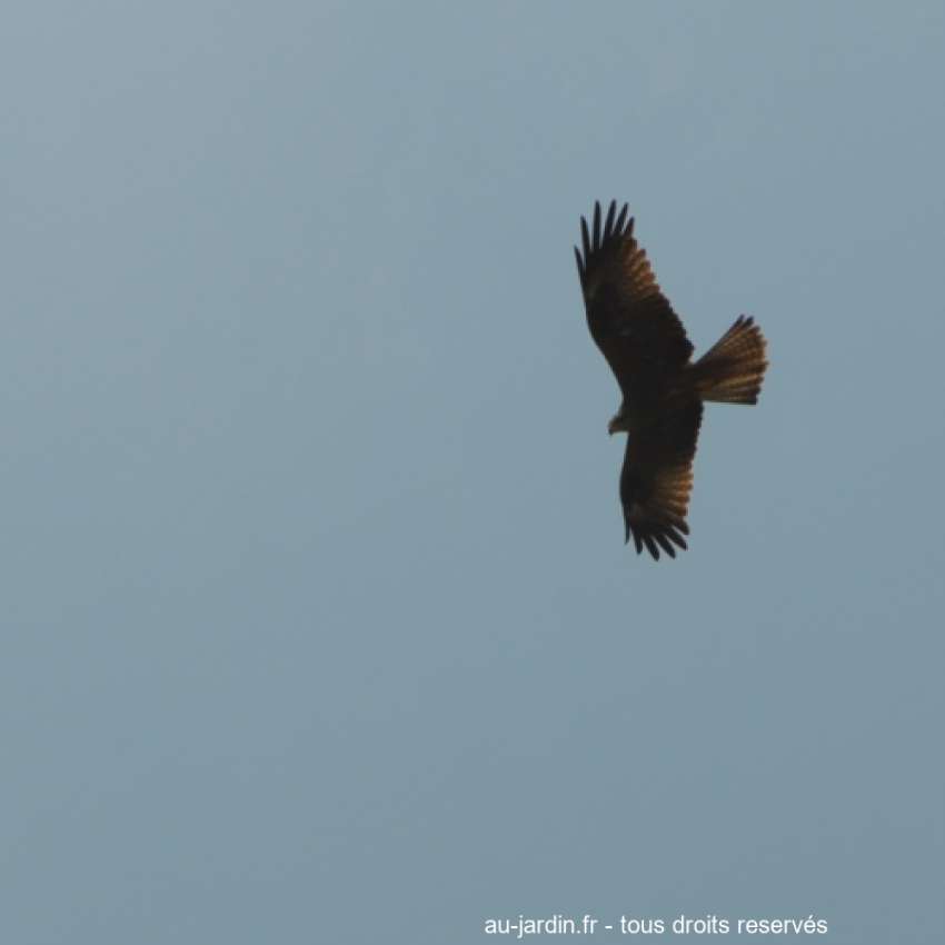 Featured blog image