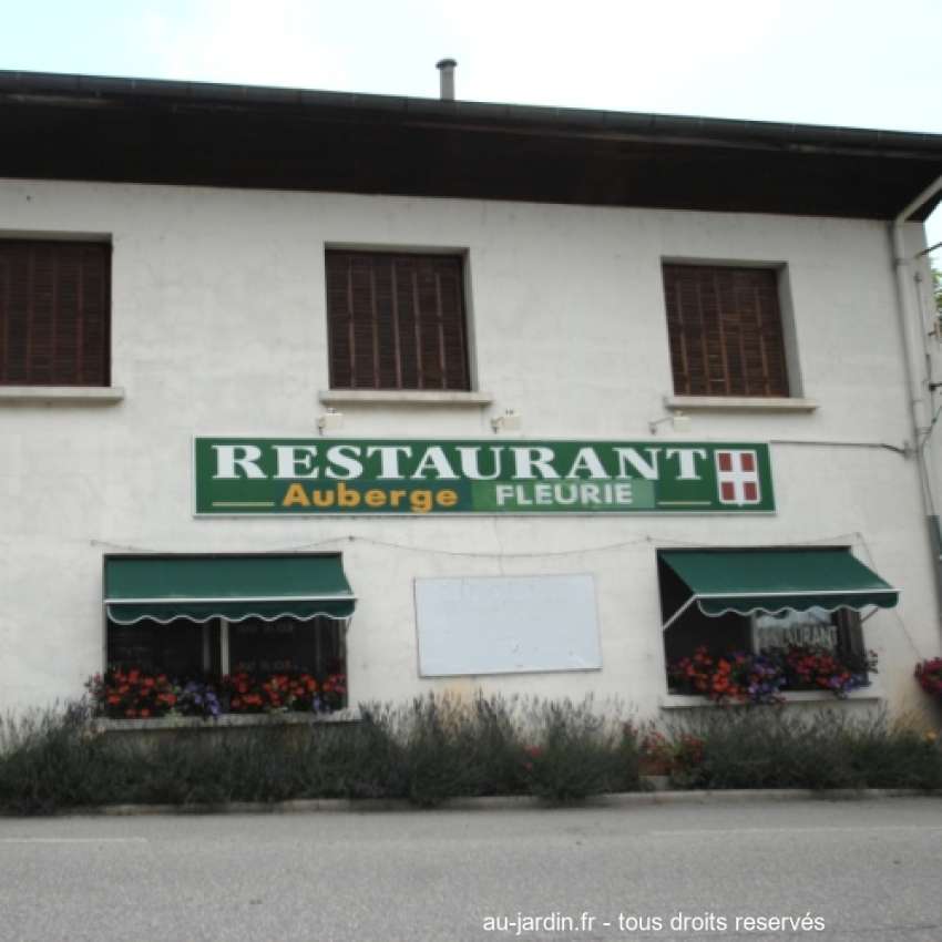 Featured blog image