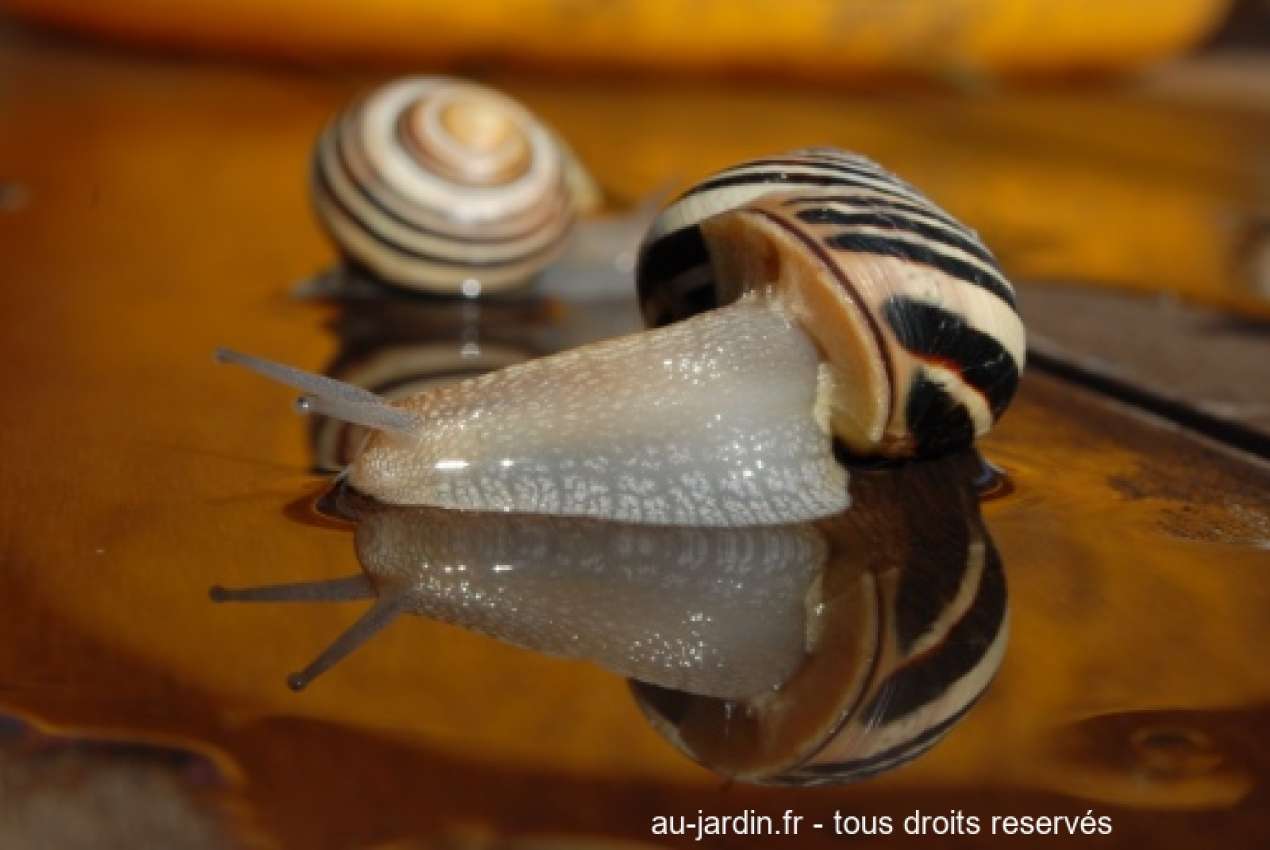 Featured blog image