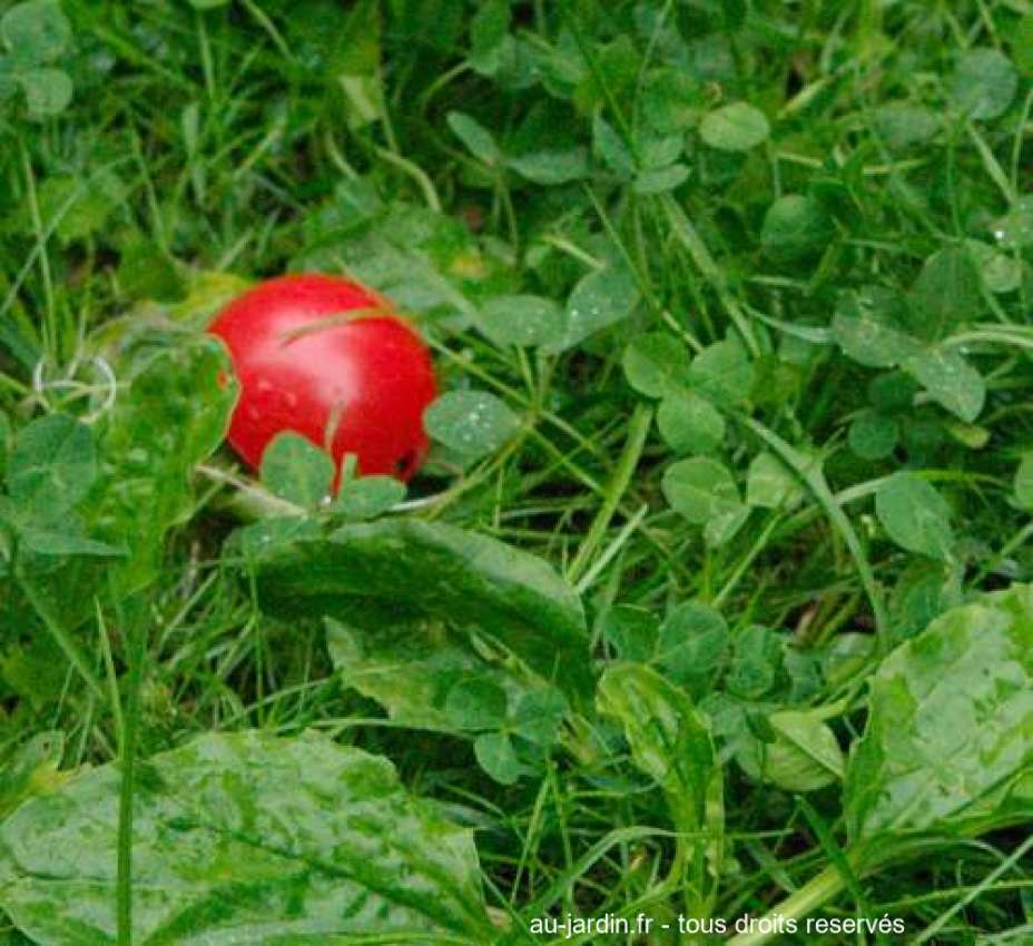 Featured blog image