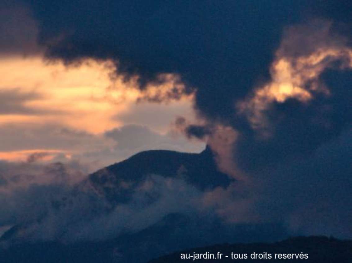 Featured blog image