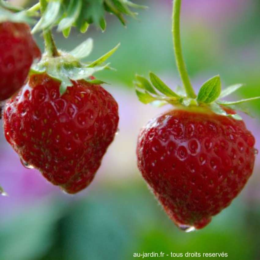 Featured blog image