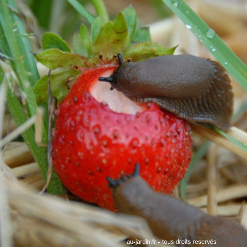 Featured blog image