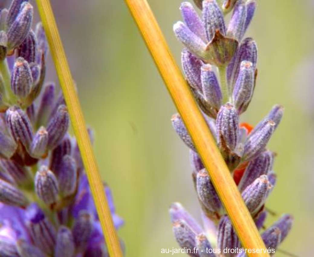 Featured blog image
