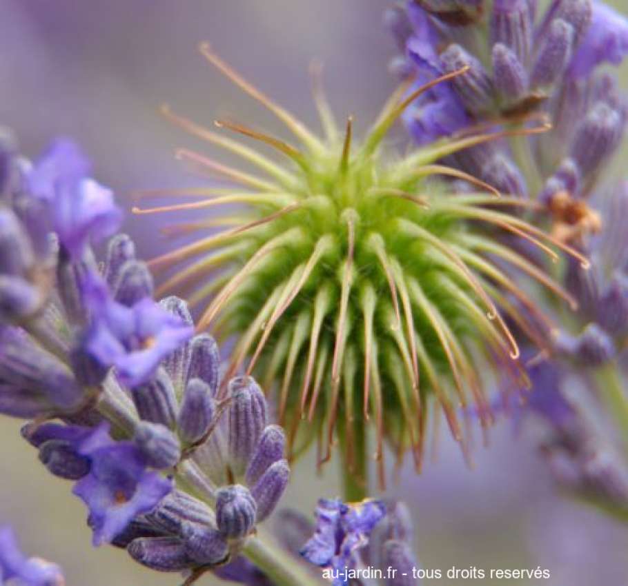 Featured blog image
