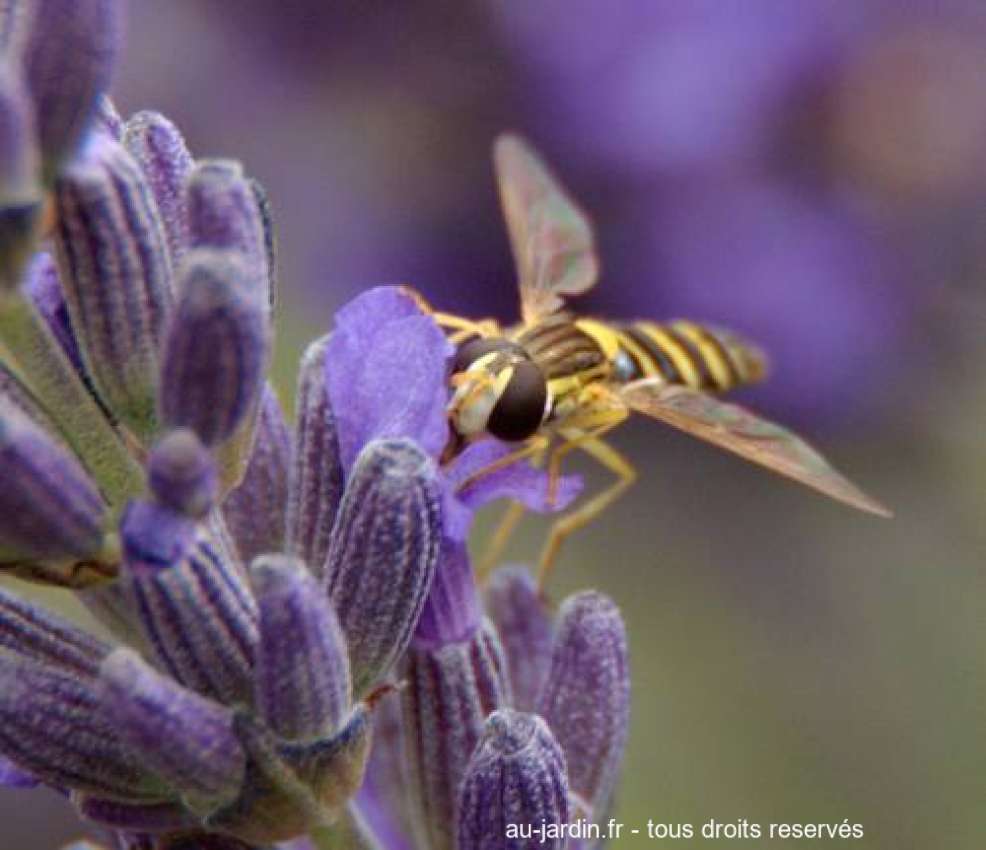 Featured blog image