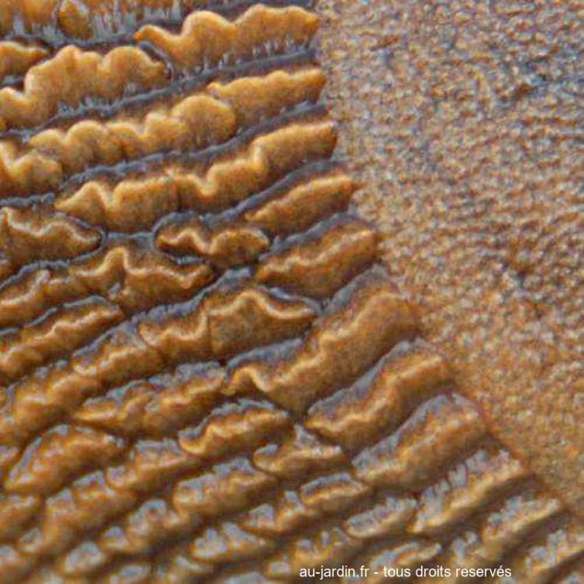 Featured blog image
