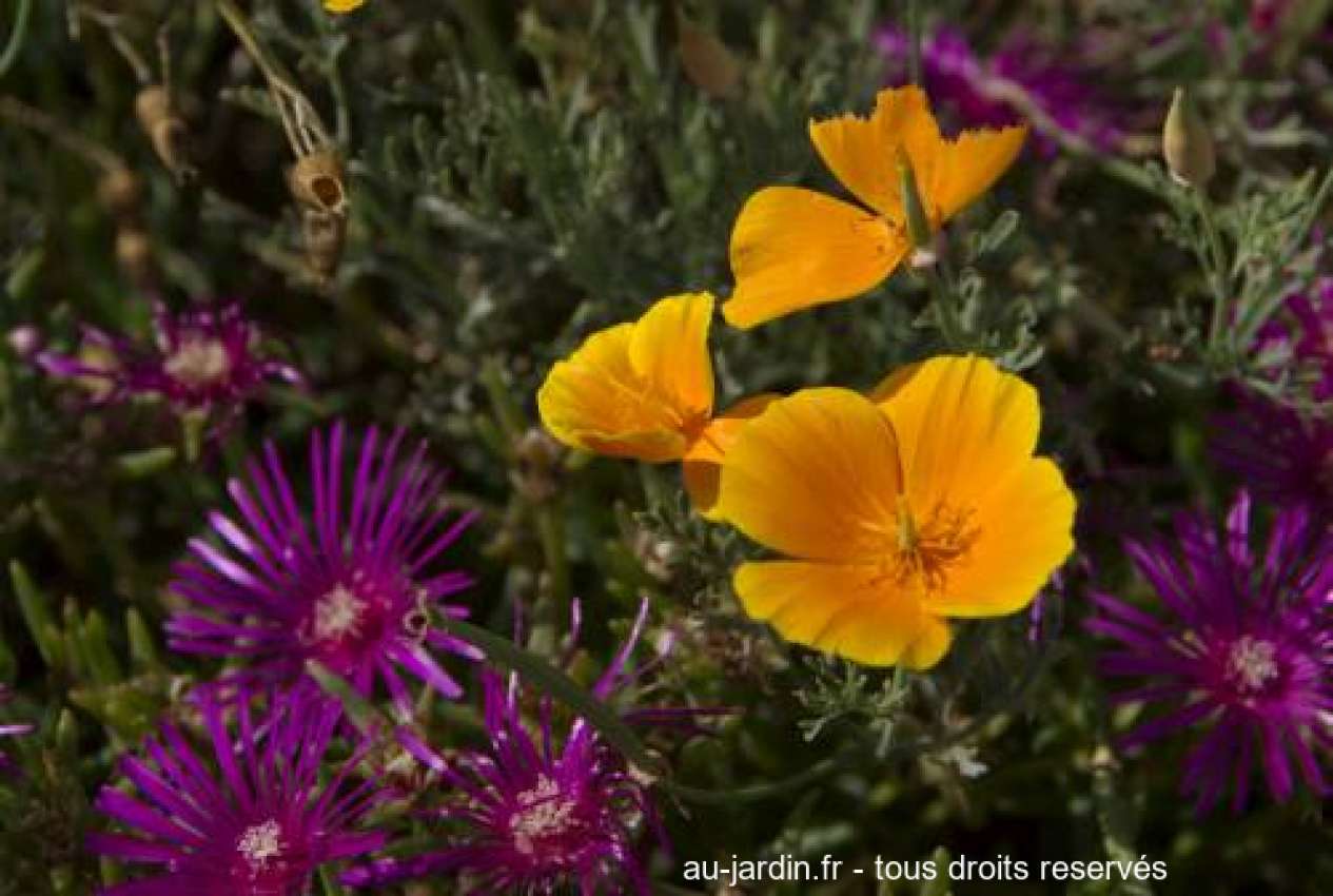 Featured blog image