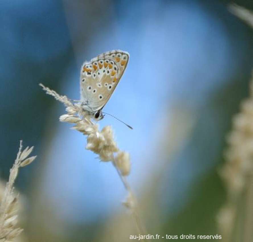 Featured blog image