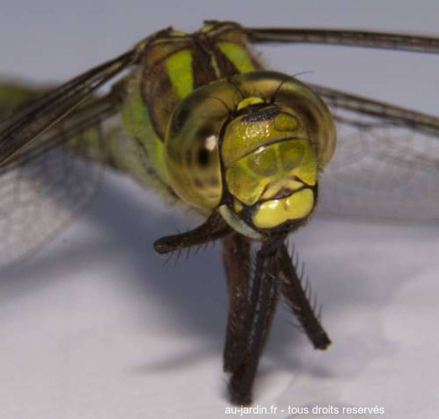 Featured blog image