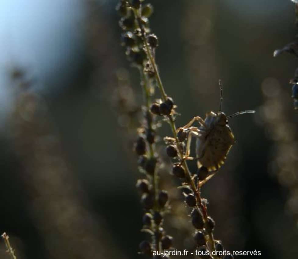 Featured blog image