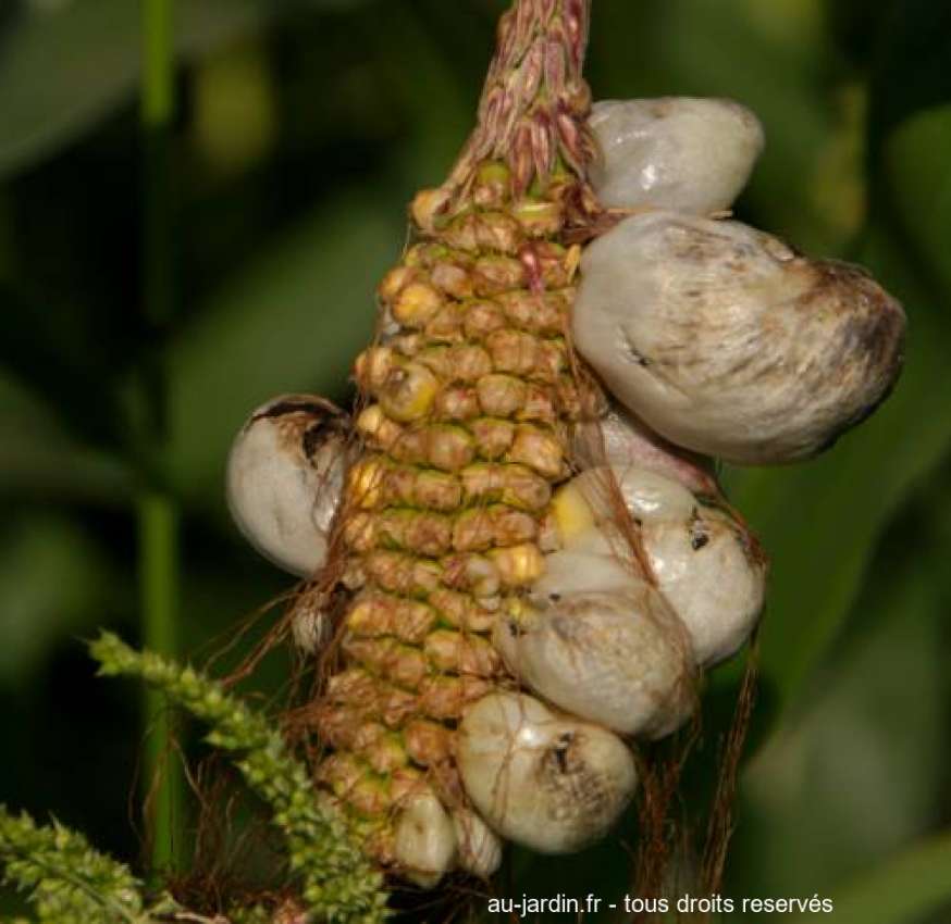 Featured blog image