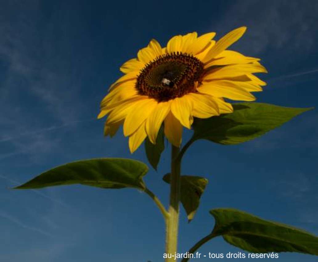 Featured blog image